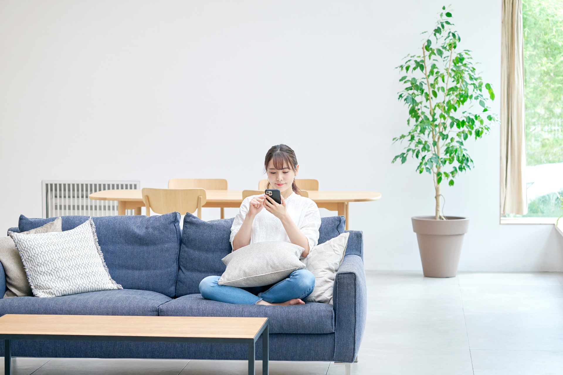 AdobeStock_354079344 (1)